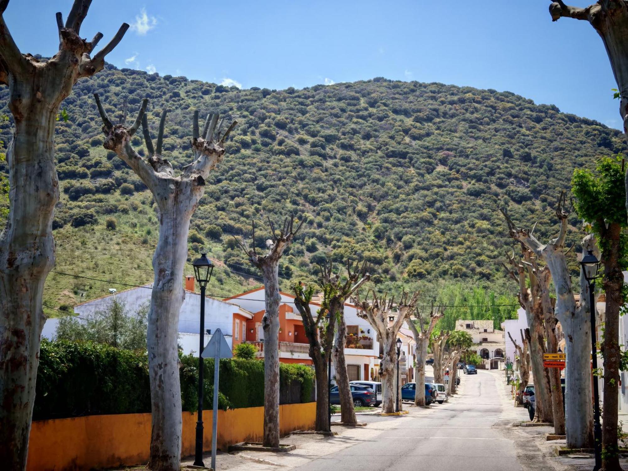 Alojamiento Rural Casa La Abuela Arbuniel المظهر الخارجي الصورة